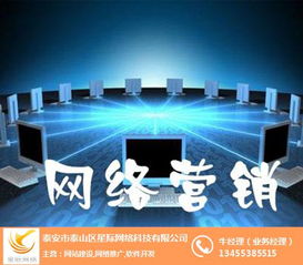 星際網(wǎng)絡 專業(yè)互聯(lián)網(wǎng)營銷與銷售解決方案提供商